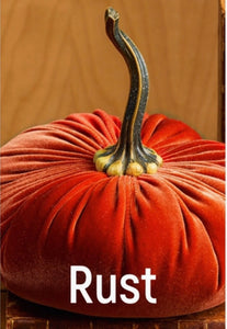 Rust XL Velvet Pumpkin