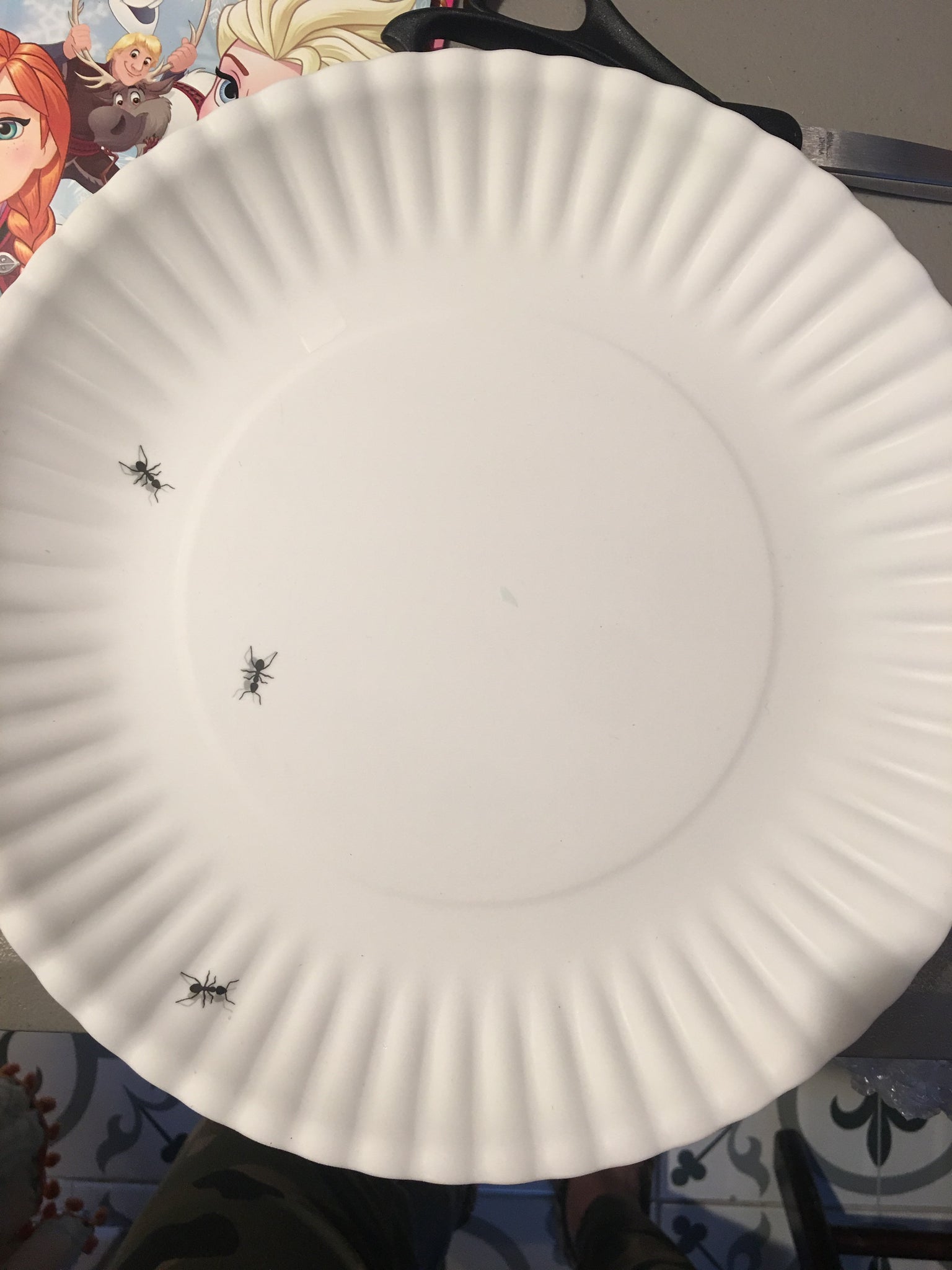 Ant melamine large plate set