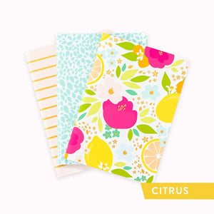 Cultivate What Matters Everyday Notebooks Set of 3 - Citrus