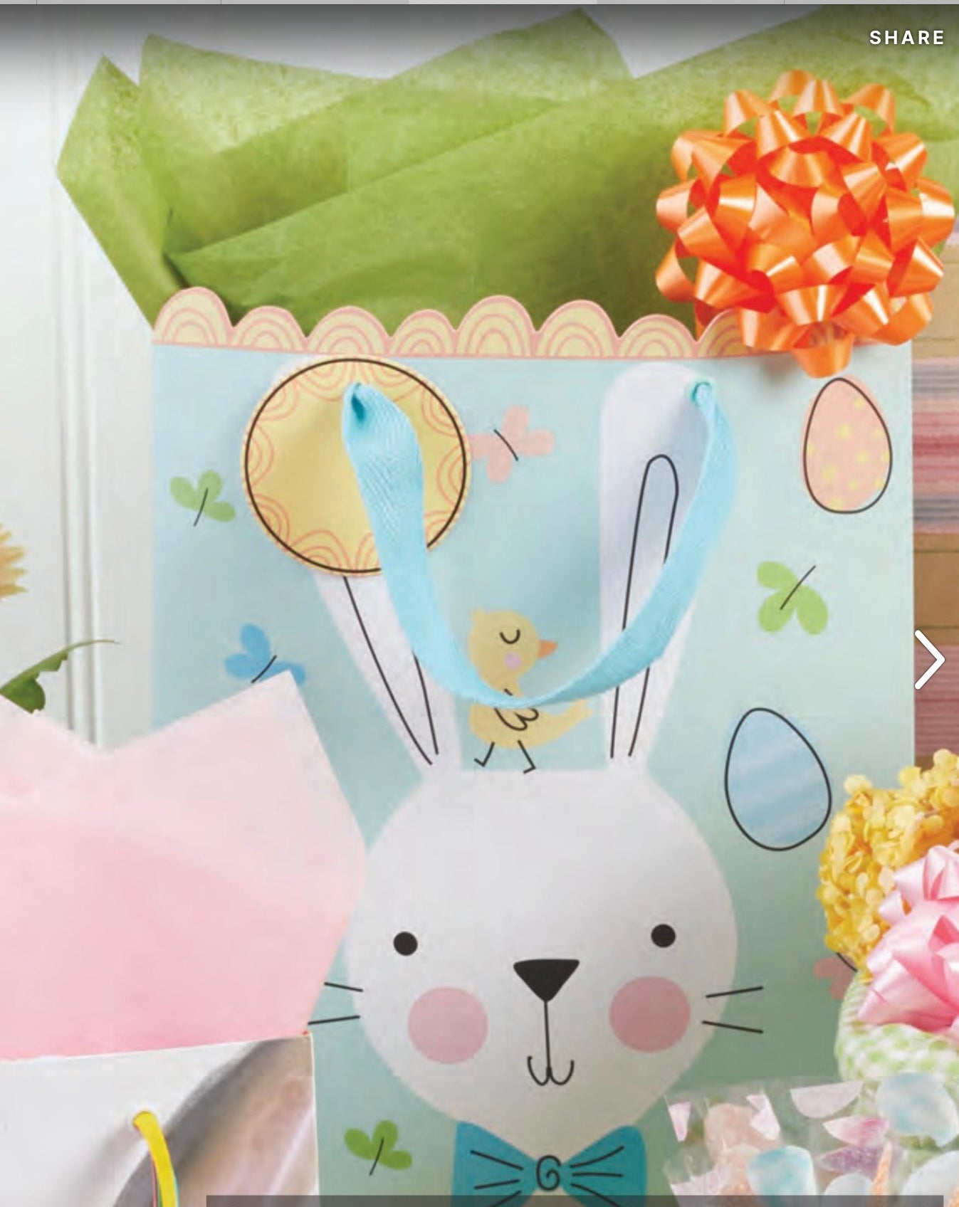 Aqua Easter Bunny Gift Bag