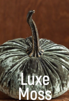 Luxe Moss Small Velvet Pumpkin