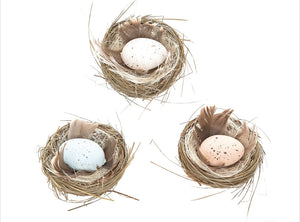 Woodland water eggs/nest