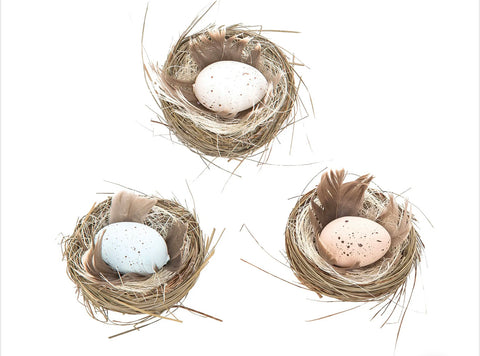 Woodland water eggs/nest
