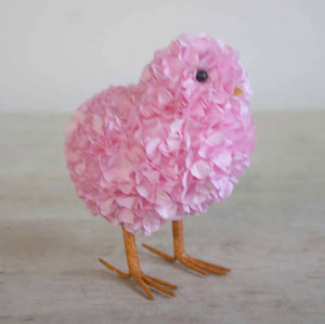 Pink Hydrangea Chick